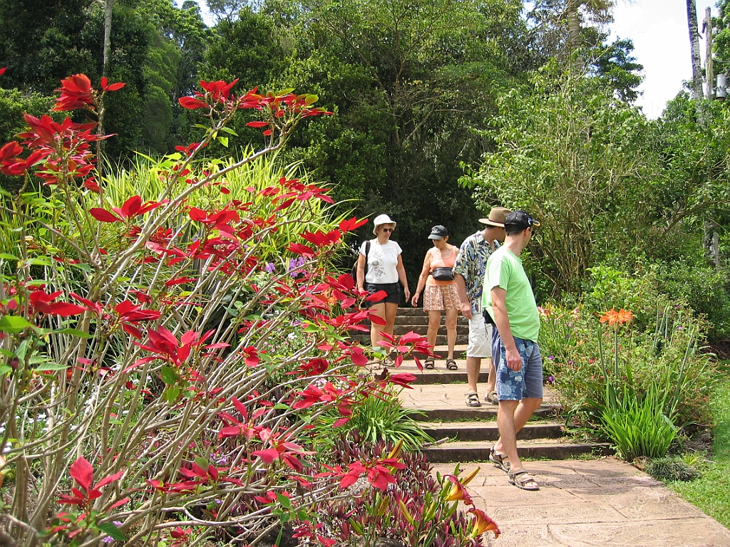 185 Lake Barrine.jpg